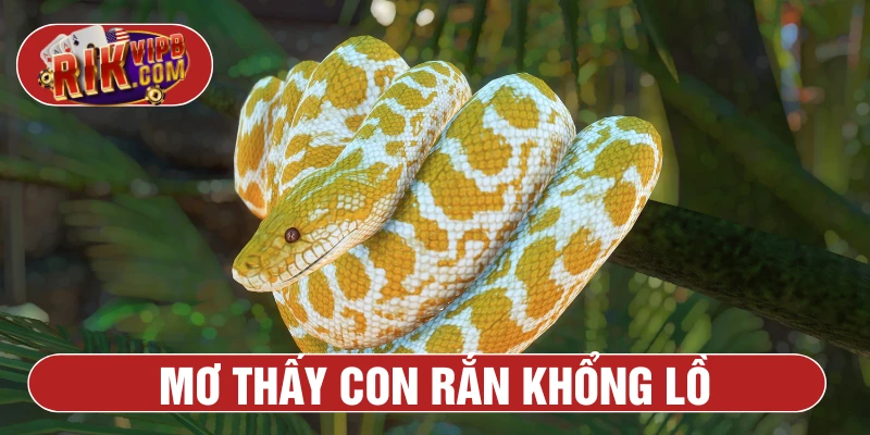 Mơ thấy rắn khổng lồ