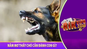 Nằm mơ thấy chó cắn đánh con gì