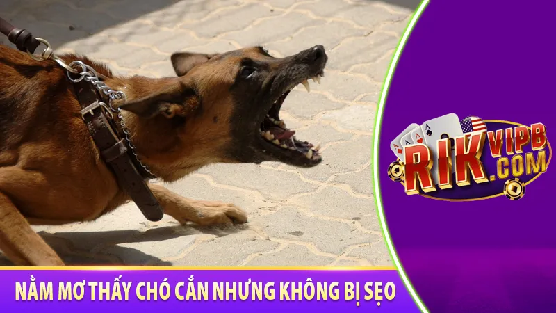 Nằm mơ thấy chó cắn nhưng không bị sẹo