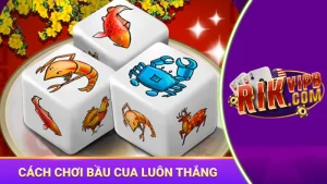 cách chơi bầu cua luôn thắng