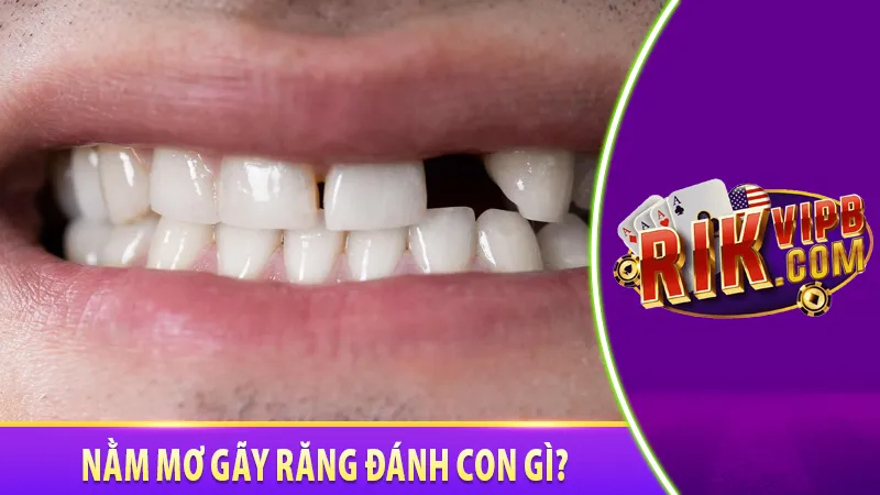Nằm mơ gãy răng đánh con gì