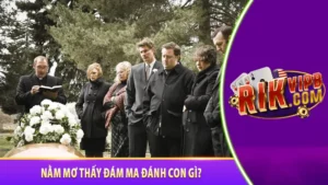 Nằm mơ thấy đám ma đánh con gì