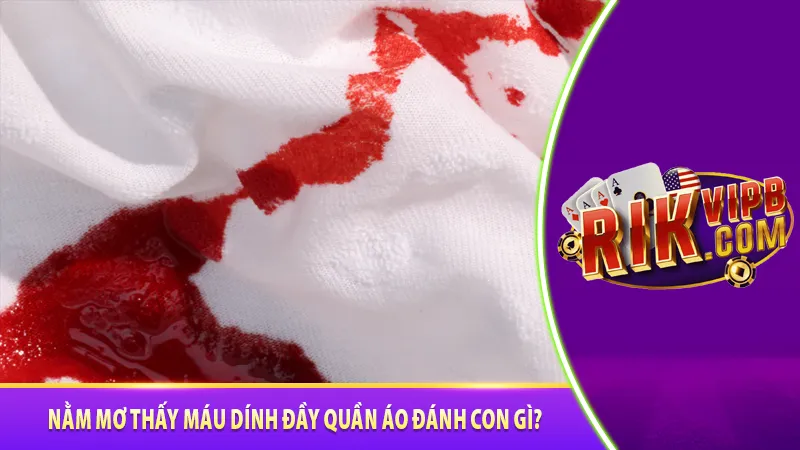 Nằm mơ thấy máu dính đầy quần áo đánh con gì