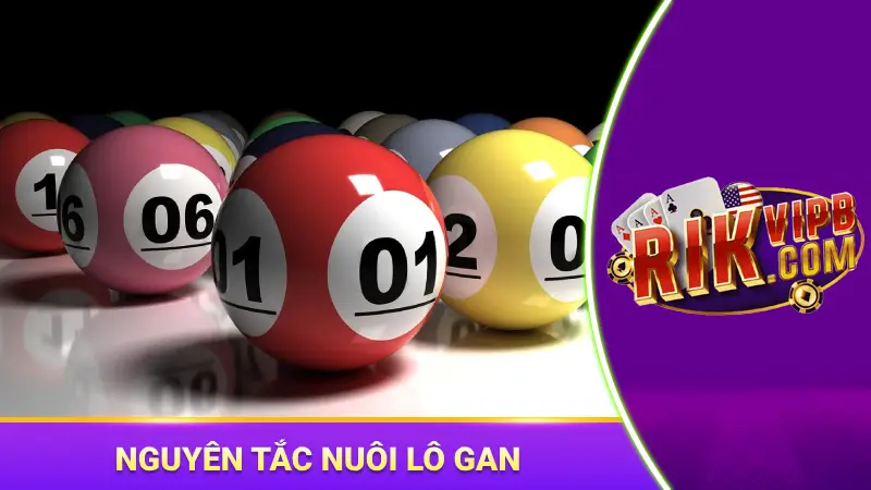 Những nguyên tắc nuôi lô gan để tối ưu nguồn vốn 