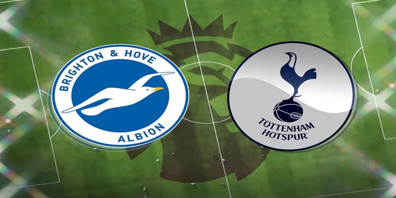 Brighton vs Tottenham